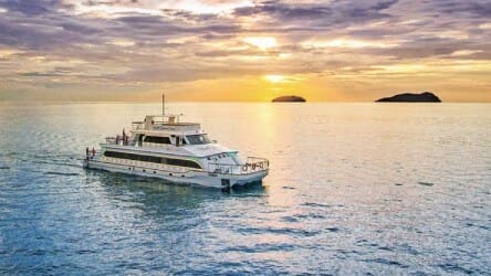 Day & Sunset Cruise